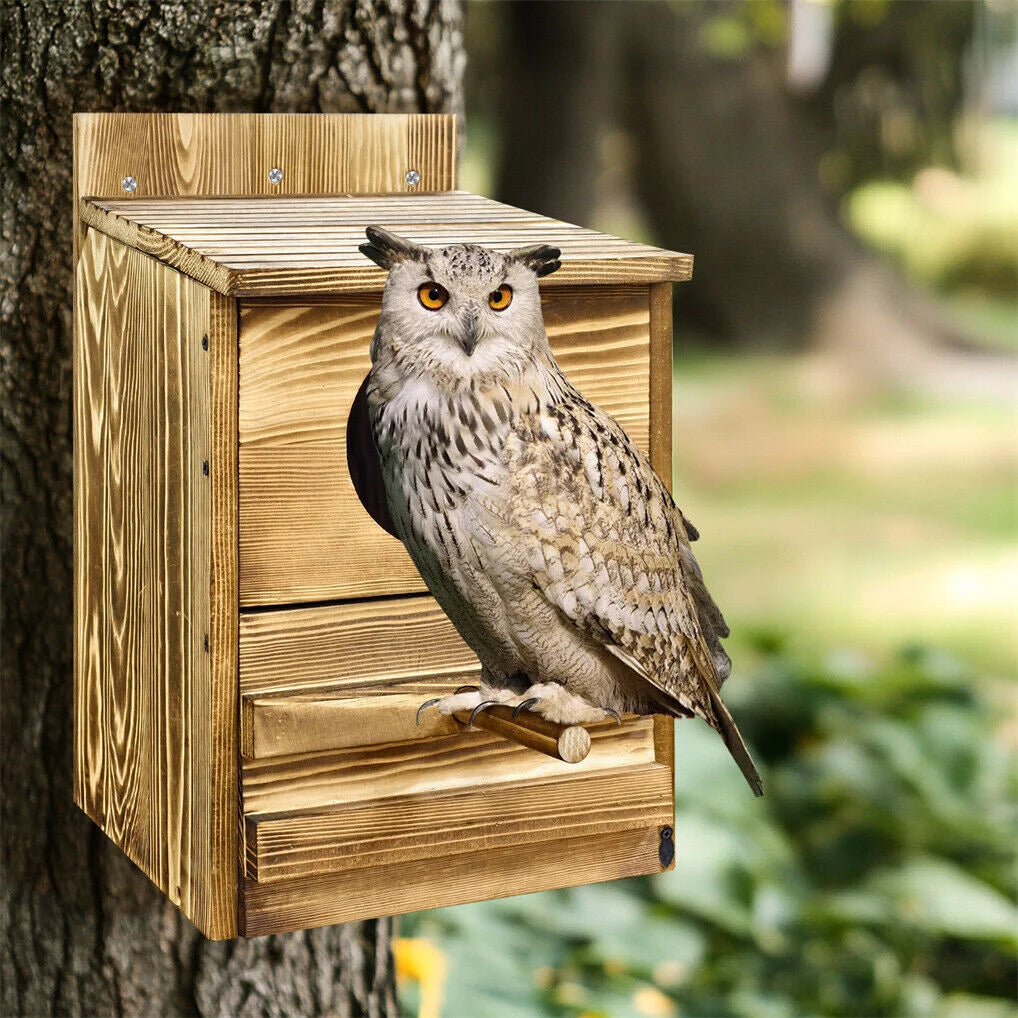 Owl Nesting Box Bird Feeder Paulownia Wood Acrylic - Home &