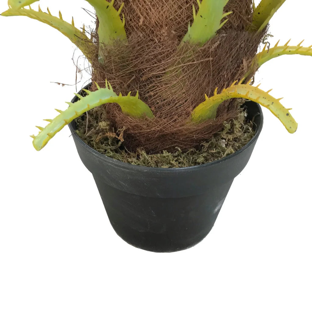 Palm 80cm