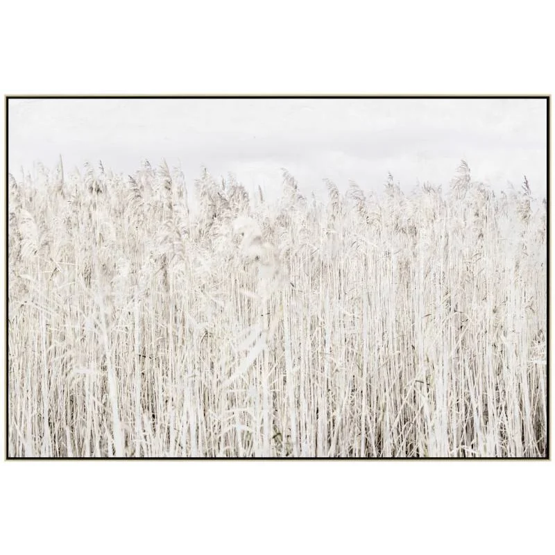 Pampas Grass Framed Canvas Wall Art 120cm - Home & Garden >