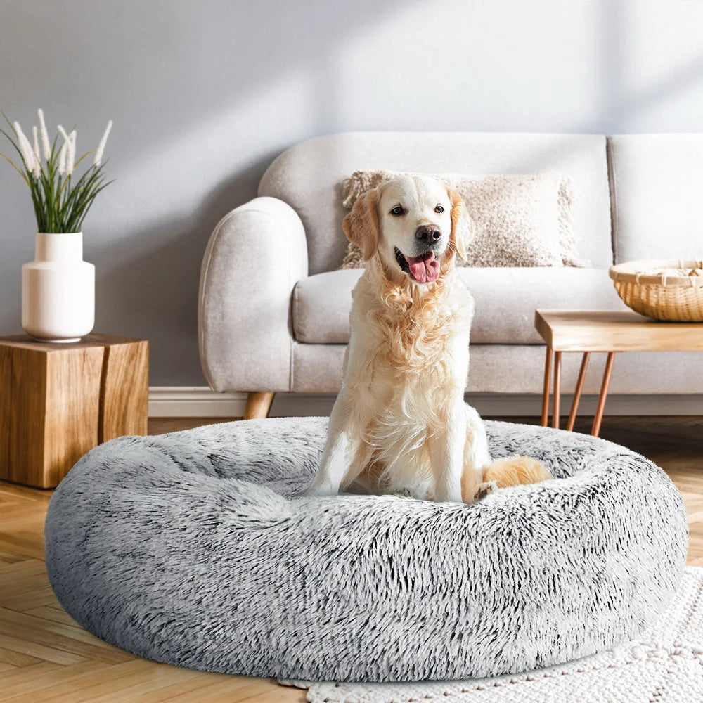 Pet bed dog with size cues and product form