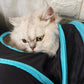 Pet Cat Kitten Puppy 4-Way Tunnel Play Toy Foldable Funny
