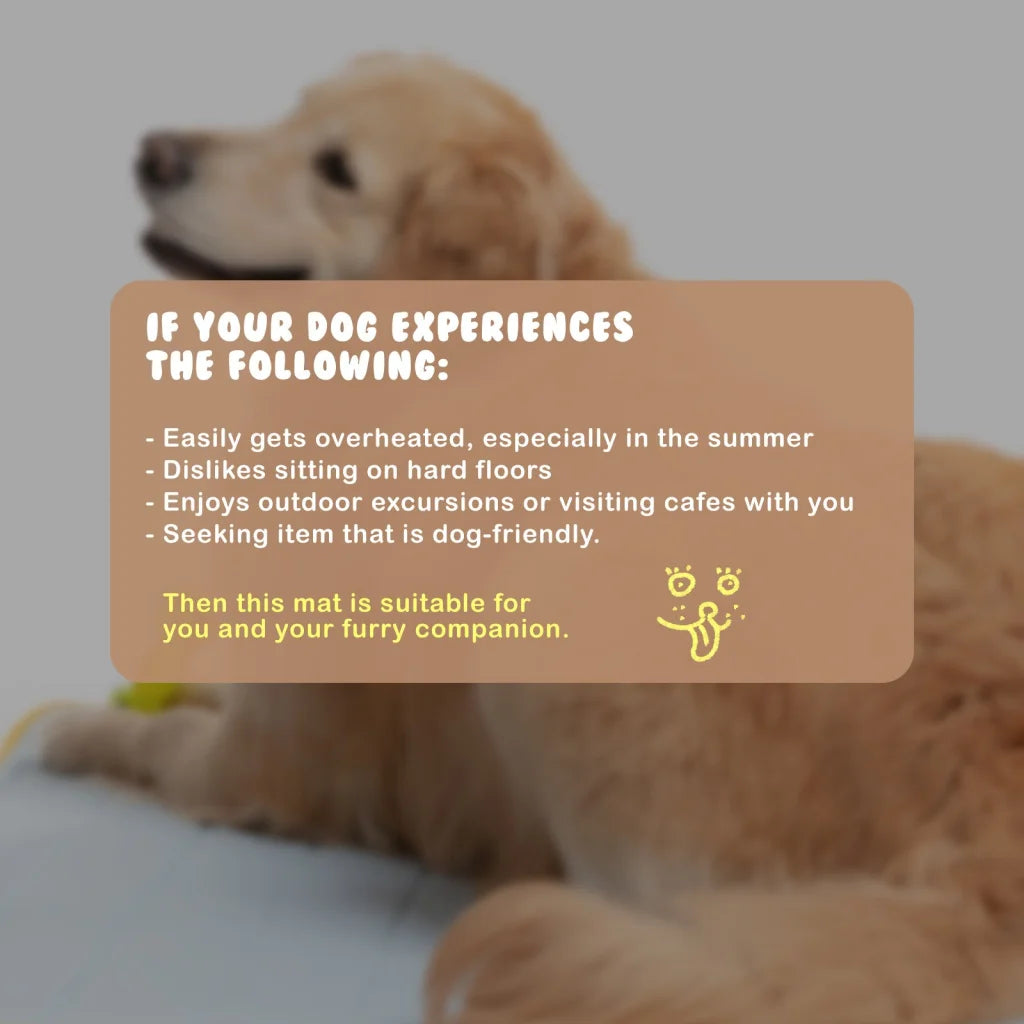 Pet Cooling Mat Dog Non-Slip Travel Roll-Up Cool Pad Bed