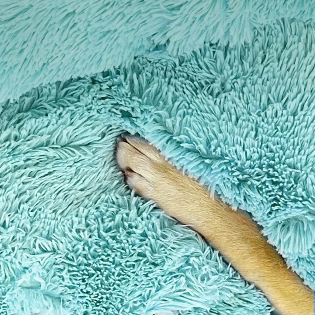 Pet Dog Bed Warm Plush Round Comfortable Nest Comfy