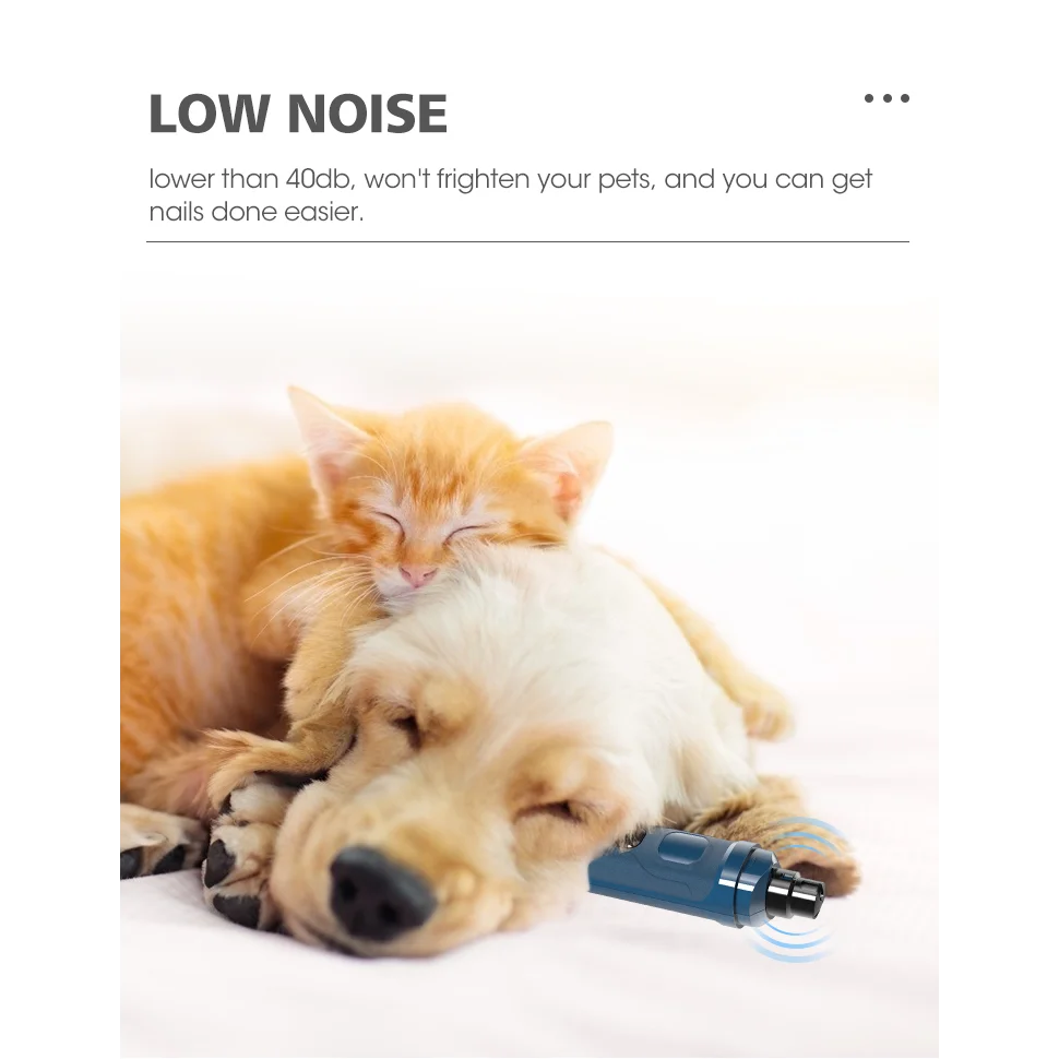 Pet dog cat with matching accessories and clear item layout