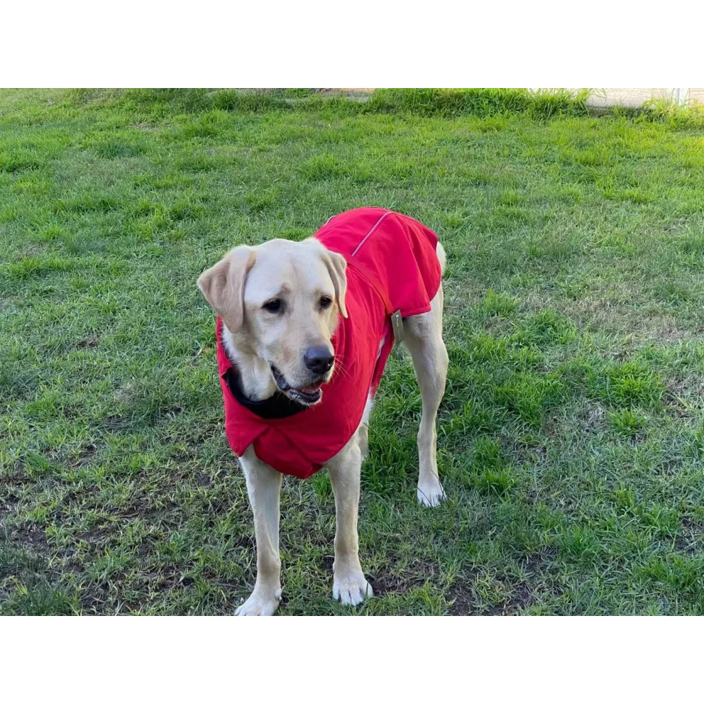 Pet Dog Raincoat Poncho Jacket - Windbreaker Waterproof