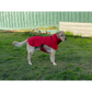 Pet Dog Raincoat Poncho Jacket - Windbreaker Waterproof
