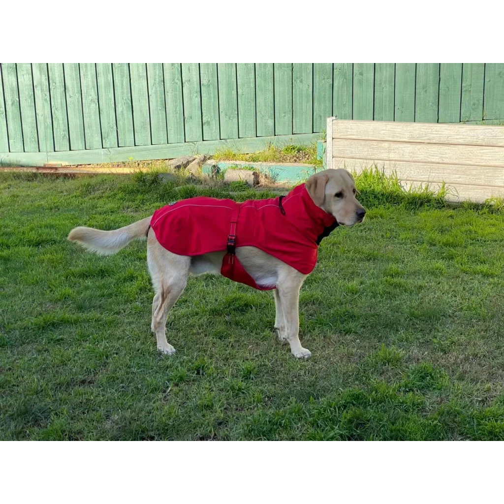 Pet Dog Raincoat Poncho Jacket - Windbreaker Waterproof