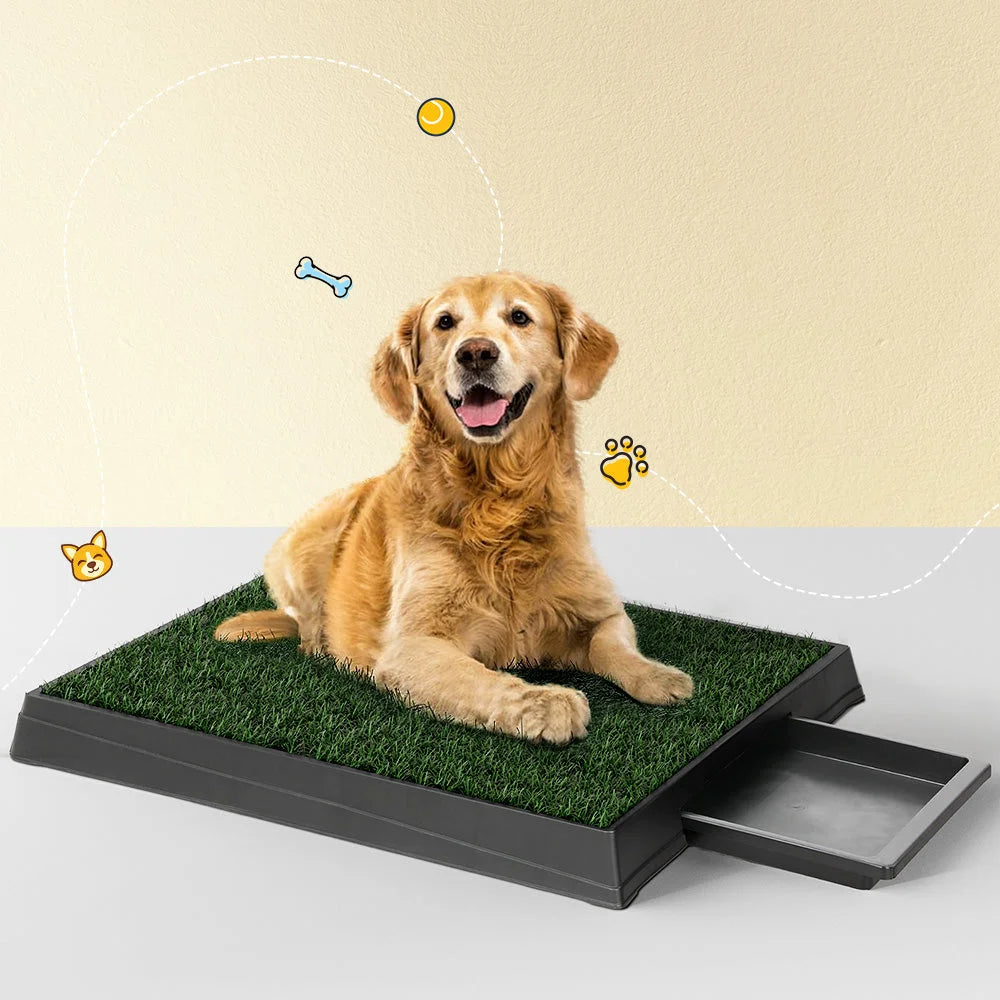 Potty Toilet Large Portable Tray Grass 2 Mats Pet Training Pad Dog