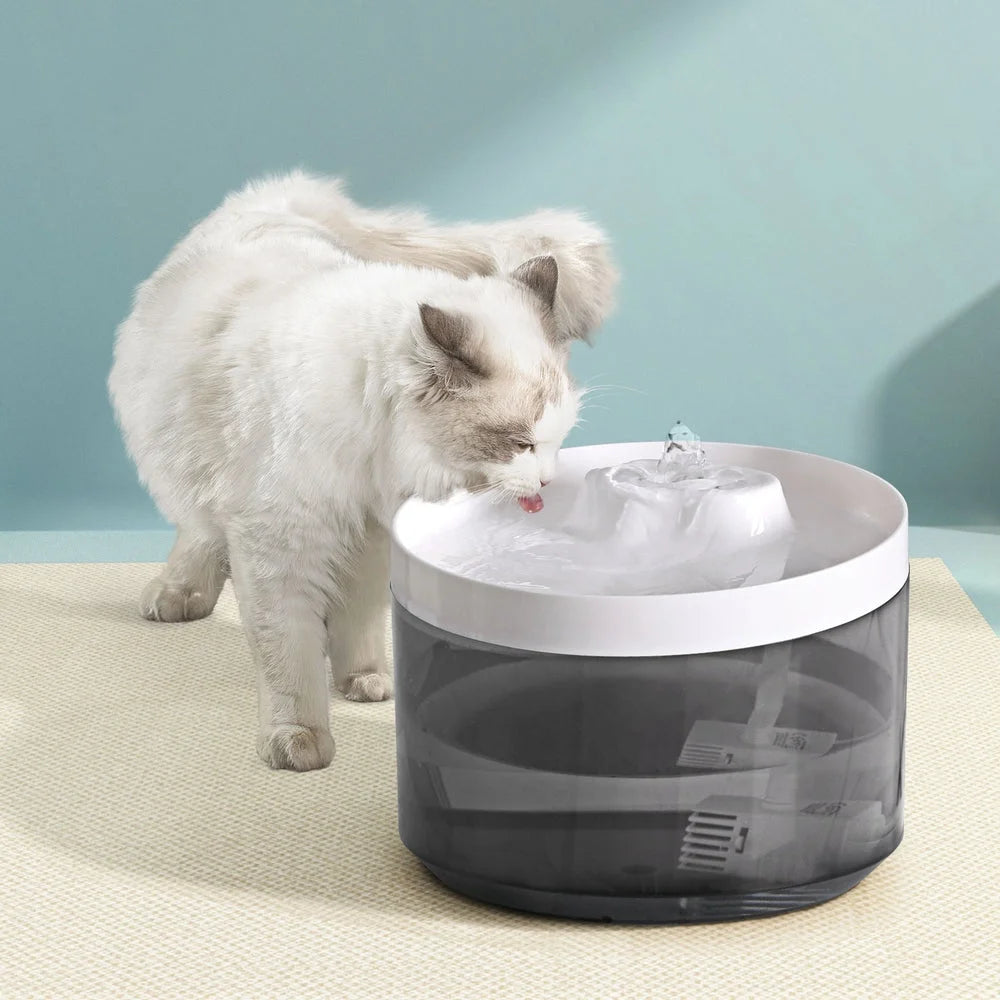 Pet Water Fountain Feeder Dispenser Filter Automatic Drinking Dog Cat