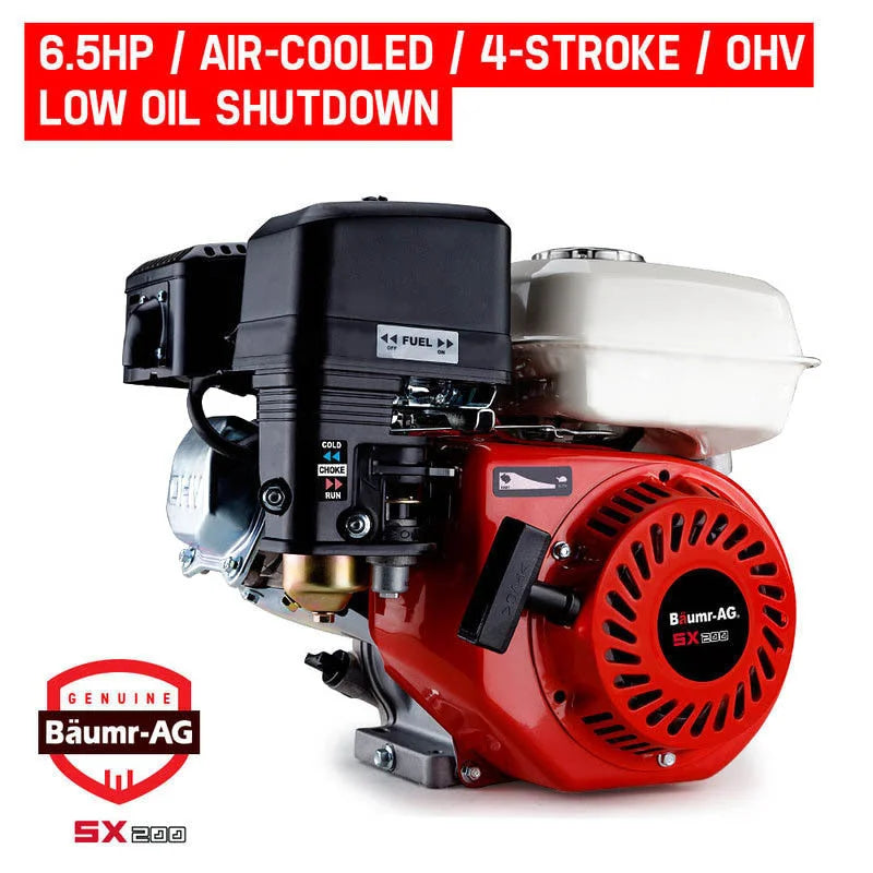 Petrol Stationary Engine Baumr-AG 6.5HP Motor 4-Stroke OHV
