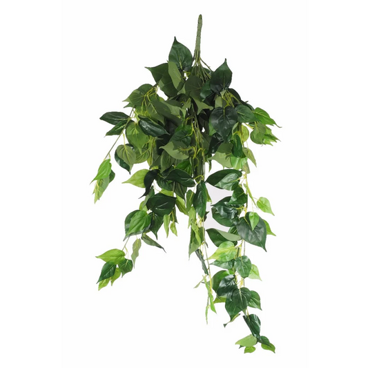 Philodendron Garland Bush 100cm, UV