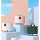 Pink Adorable Space Capsule Humidifier - Portable USB Cool