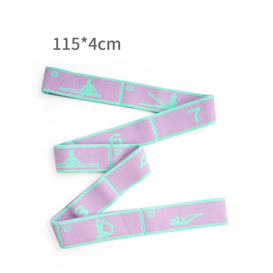 Pink and Blue 9-Loop Yoga Stretch Strap - Numbered Band