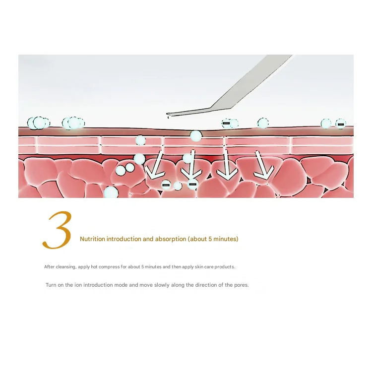 Pink Professional Ultrasonic Skin Scrubber - 4-in-1 Facial