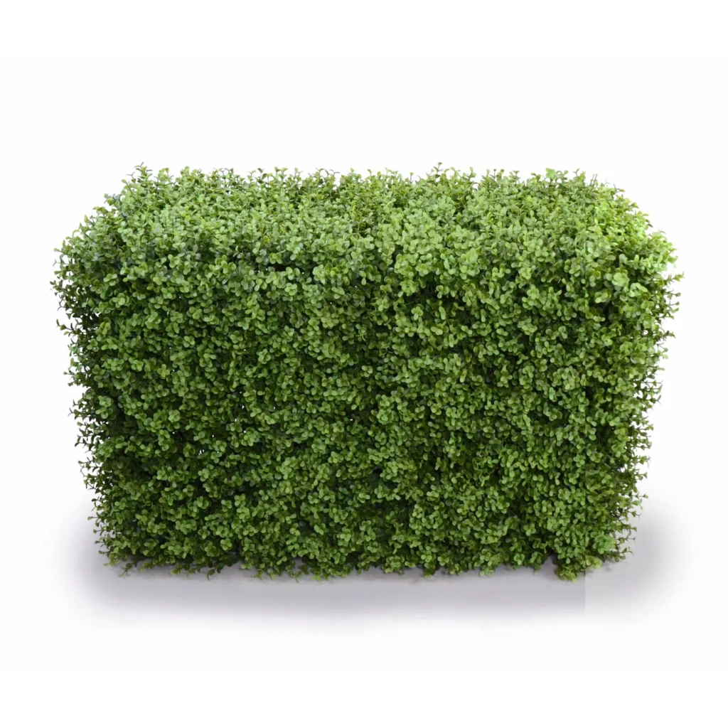 Portable Buxus Hedges 100x55cm, UV Stabilized Deluxe