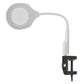 Portable Multi-function Magnifying Lamp - 220v - Tools >