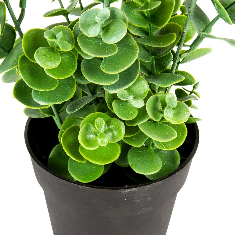 Potted Artificial Eucalyptus Plant 27cm - Home & Garden >