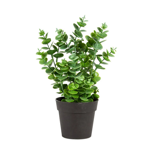 Potted Artificial Eucalyptus Plant 27cm - Home & Garden >