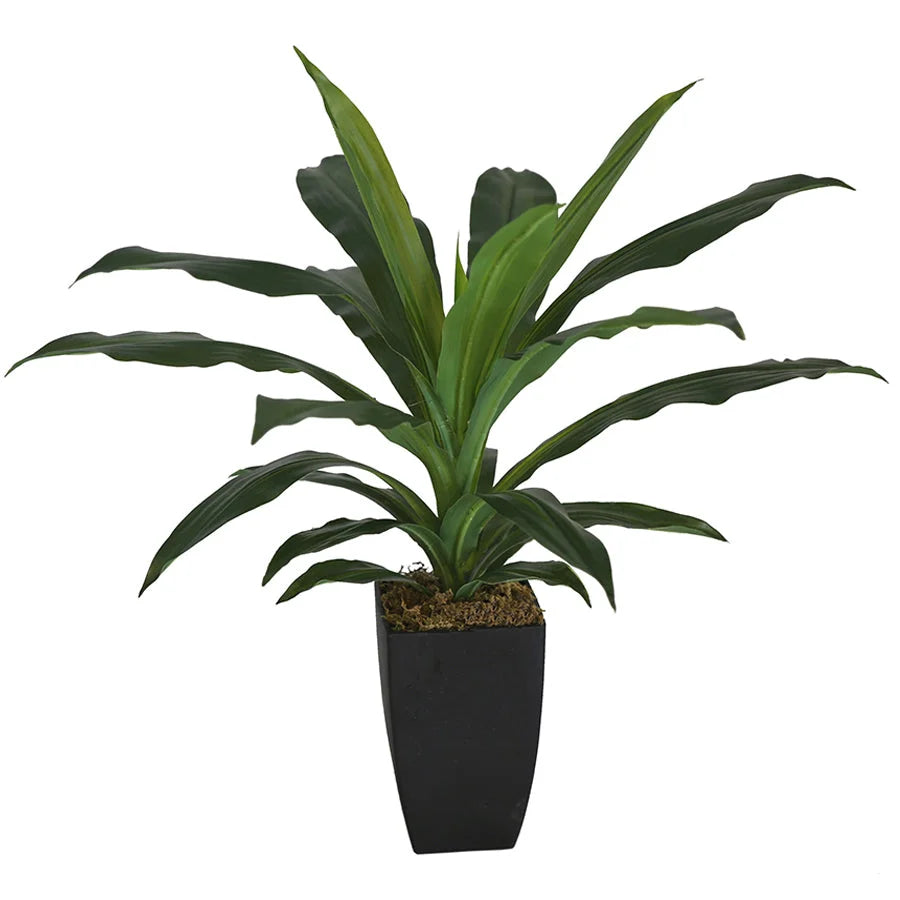 Potted Artificial Faux Janet Craig Dracaena 58cm - Home &