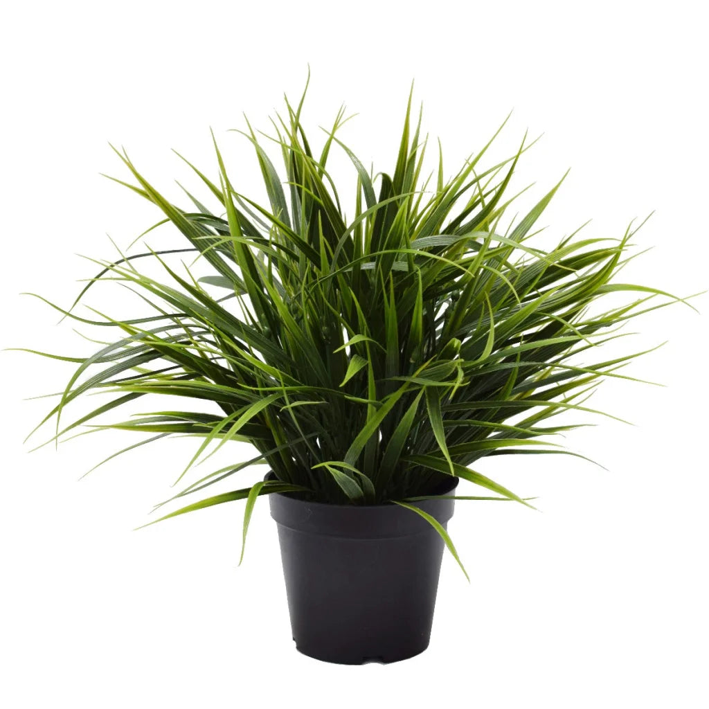 Potted Dense Green Grass Ornamental 38cm - Artificial Plants