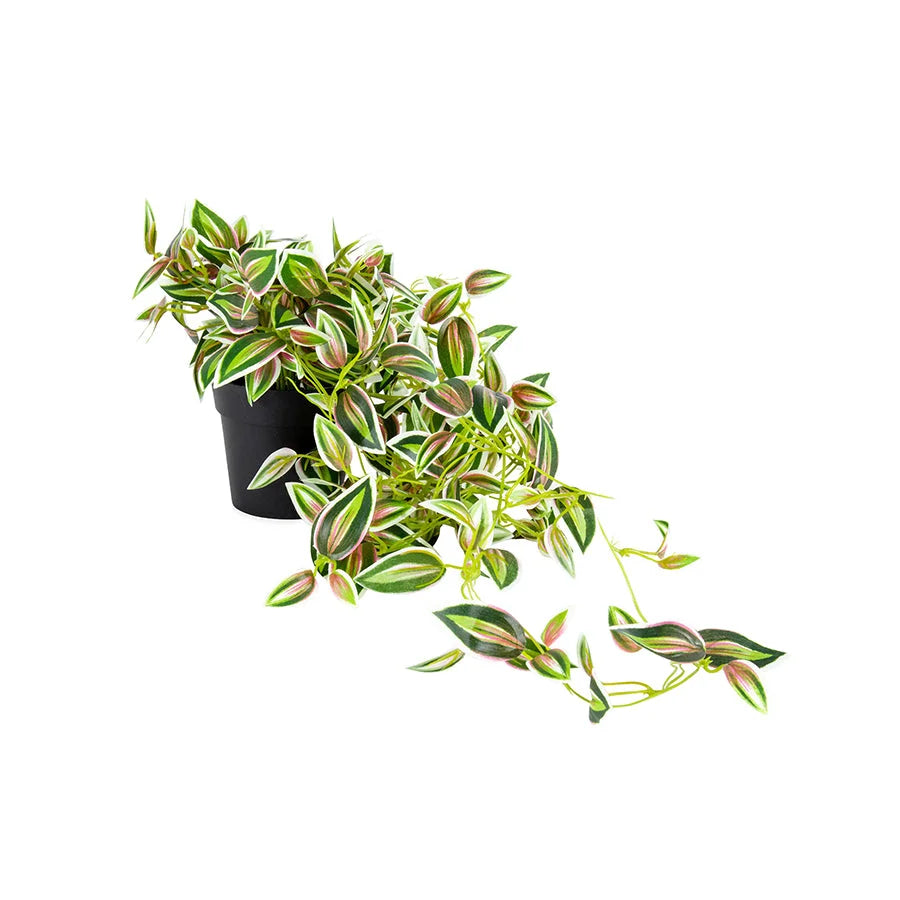 Potted Hanging Artificial Verigated Weeper 72cm - Home &