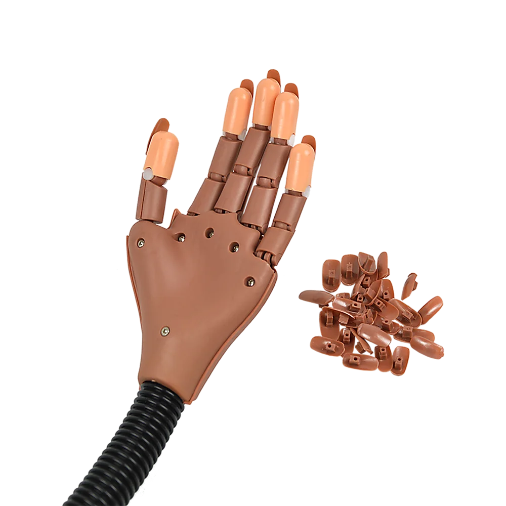 Practice Hand Model for Nail Art Training & Manicure