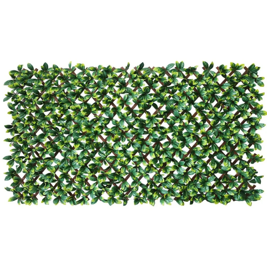 Premium Artificial Hedge Laurel Leaf Extendable Trellis