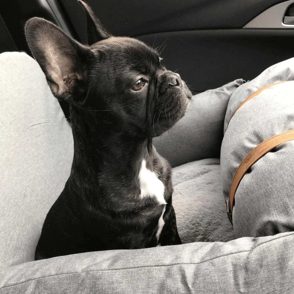 Premium Dog Booster Seat for Small Pets - Pet Care