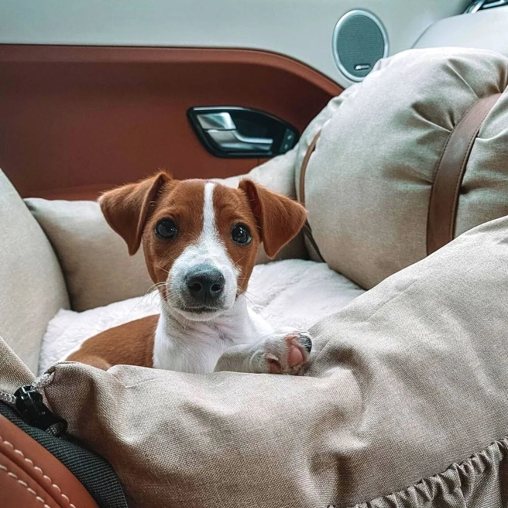 Premium Dog Booster Seat for Small Pets - Pet Care