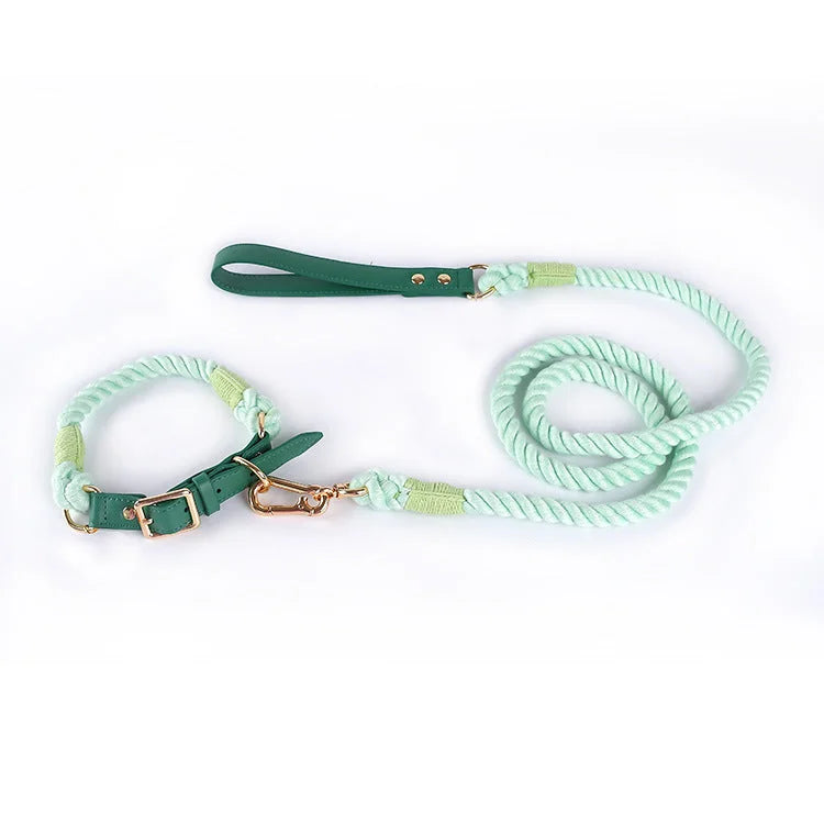Premium Leather Pet Collar and Leash - Soft Strong Braided