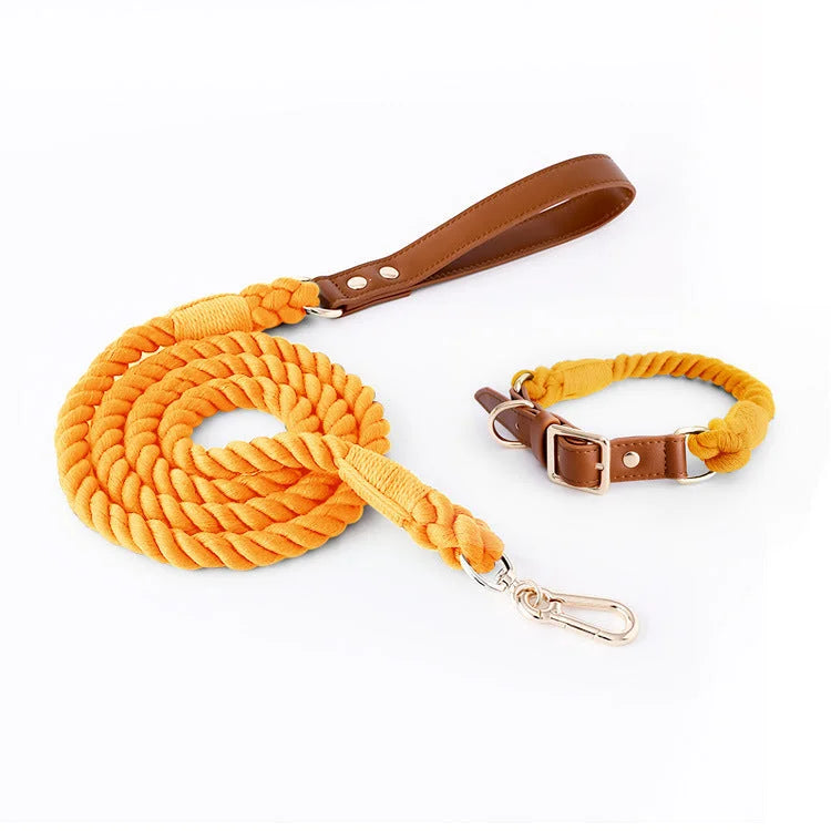 Premium Leather Pet Collar and Leash - Soft Strong Braided