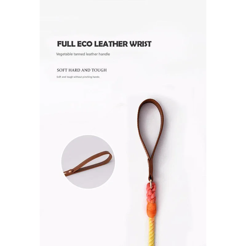 Premium Leather Pet Collar and Leash - Soft Strong Braided