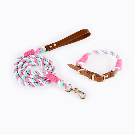 Premium Leather Pet Collar and Leash - Soft Strong Braided