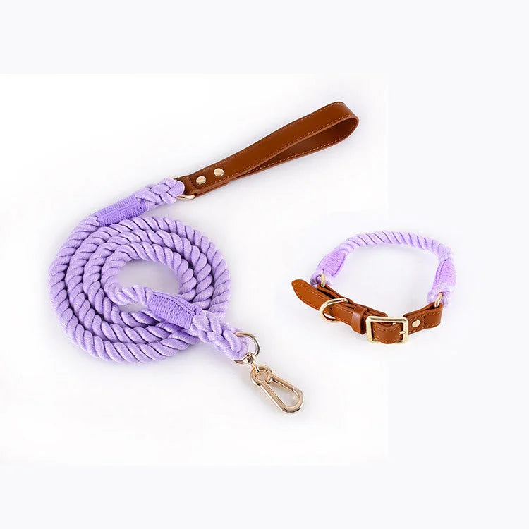 Premium Leather Pet Collar and Leash - Soft Strong Braided