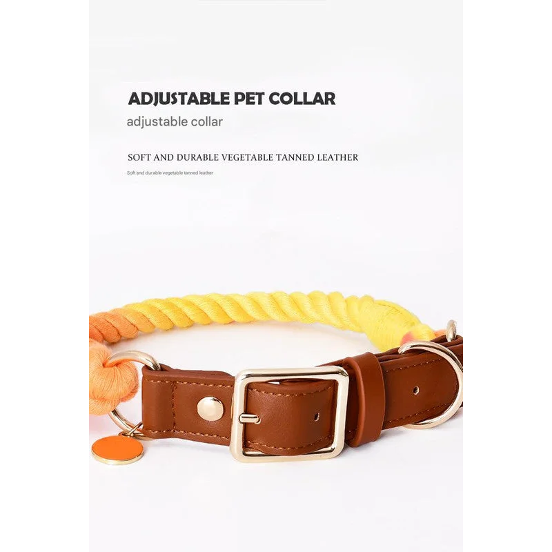 Premium Leather Pet Collar and Leash - Soft Strong Braided
