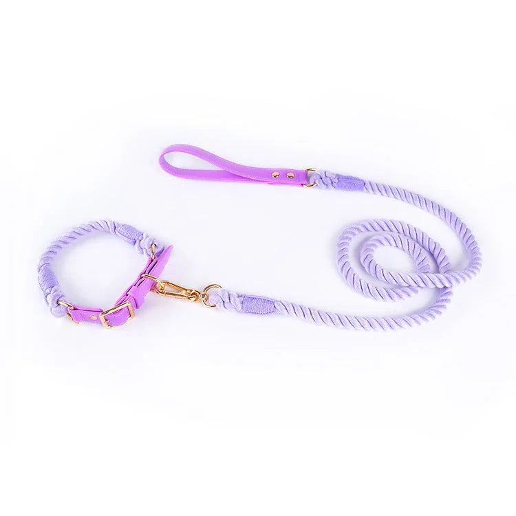 Premium Leather Pet Collar and Leash - Soft Strong Braided