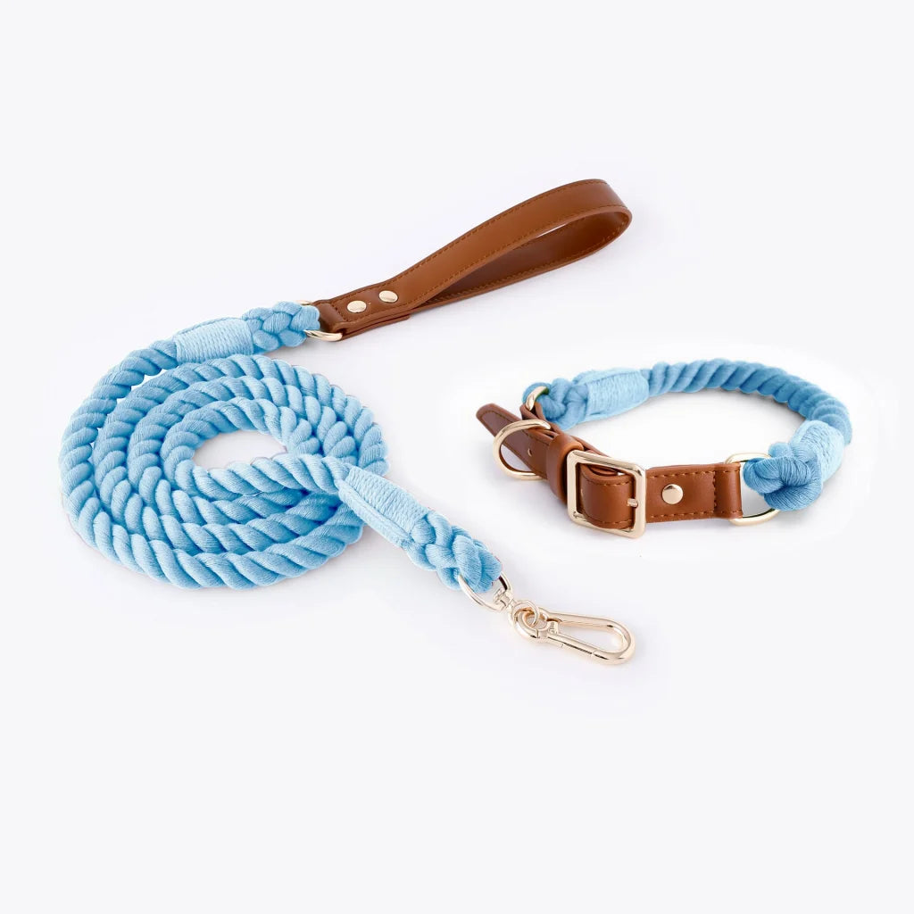 Premium Leather Pet Collar and Leash - Soft Strong Braided