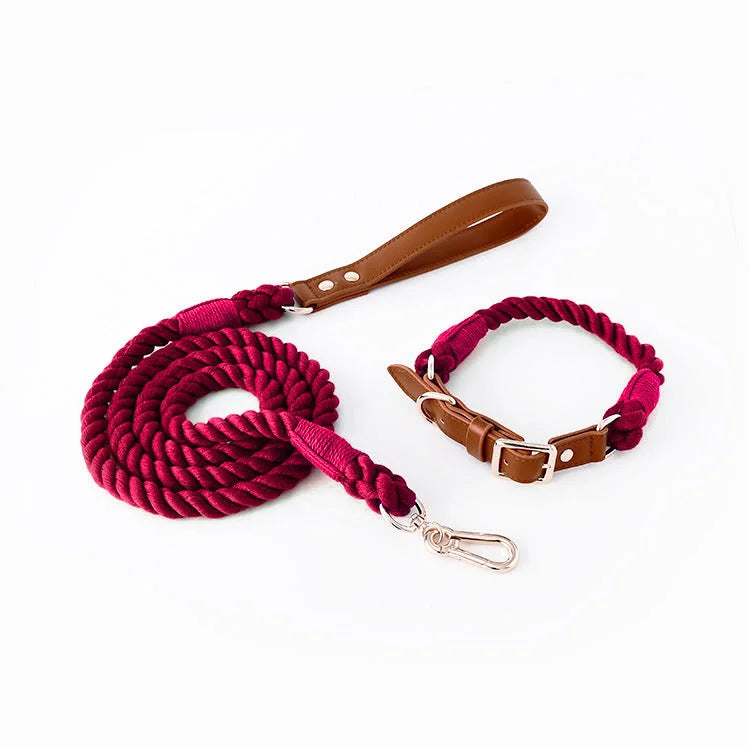 Premium Leather Pet Collar and Leash - Soft Strong Braided