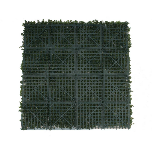 Premium Natural Buxus Hedge Panels UV Resistant 1m x 1m