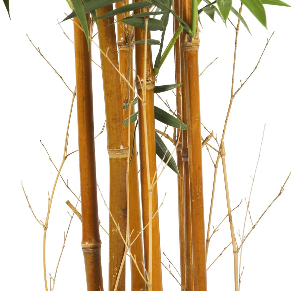 Premium Natural Cane Artificial Bamboo - UV Resistant 180CM