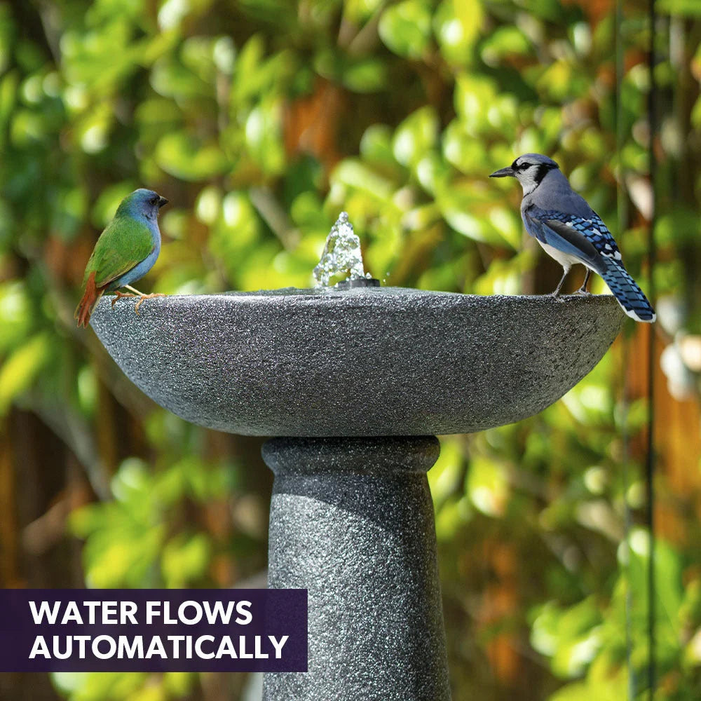 Protege Bird Bath Solar Water Feature Fountain Contemporary