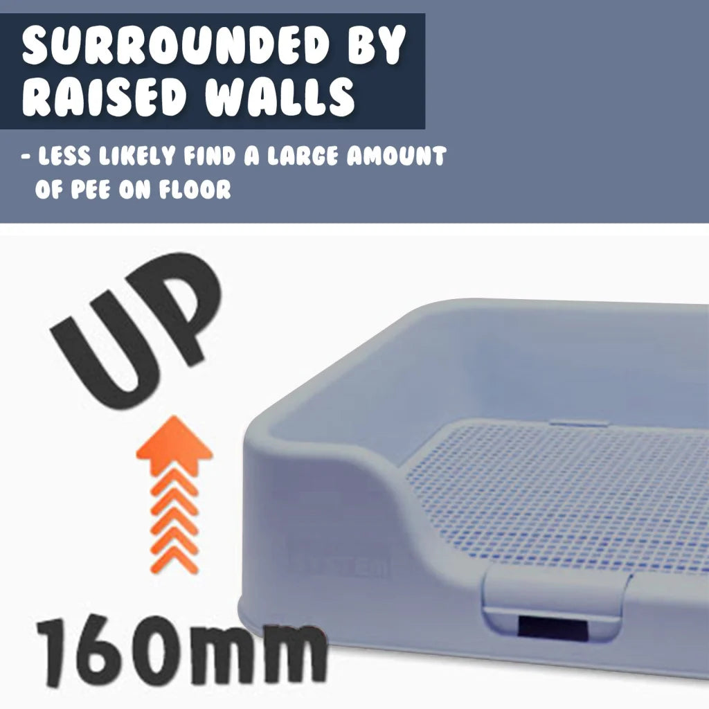 PS KOREA Blue Dog Pet Potty Tray Training Toilet Raised