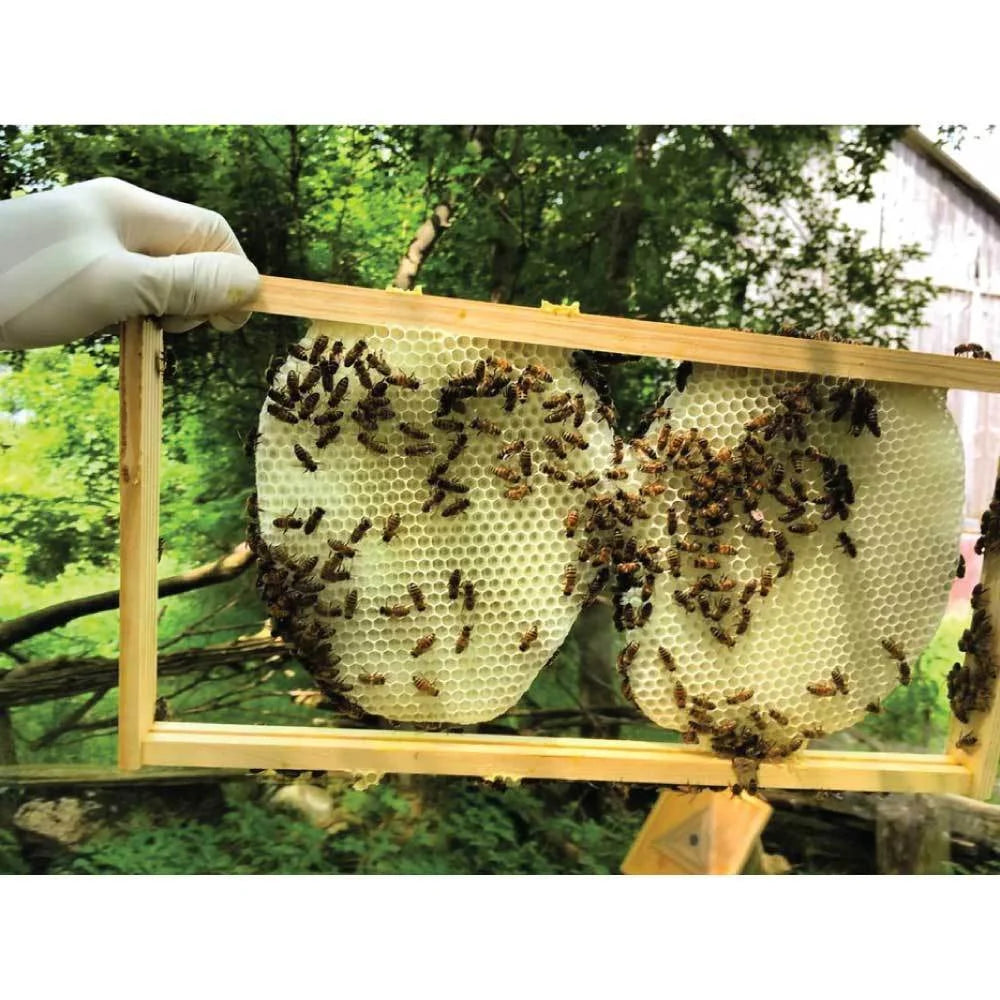 Pure Australian Beeswax 1Kg Natural Blocks Unrefined