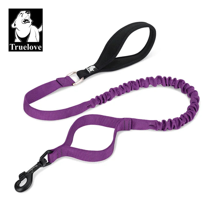 Purple Military Leash (M)