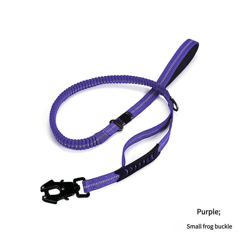 Purple Shock Absorbing Dog Leash with Reflective Stitching