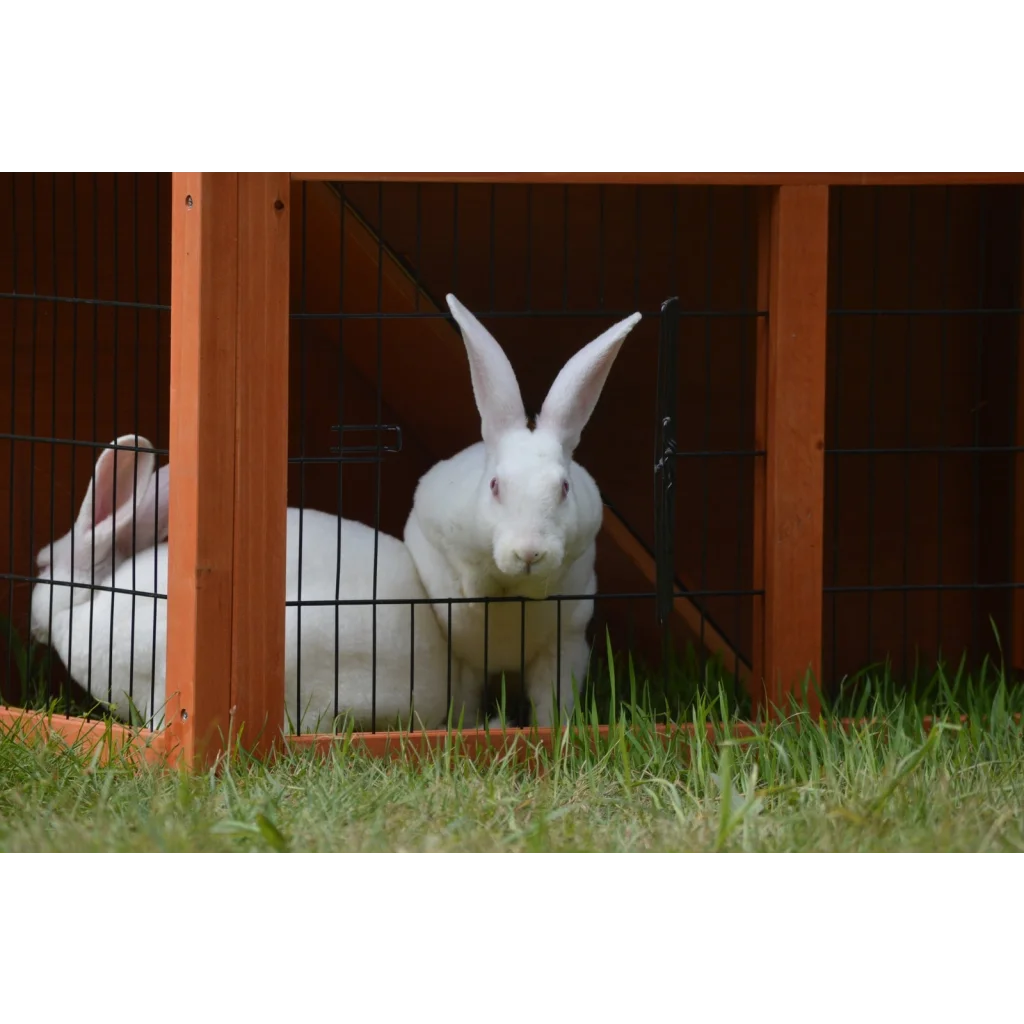 Rabbit Hutch Double Storey Guinea Pig Ferret Cage with Pull