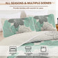 Radiant Quilted Coverlet & Pillowcases Set - Envelop