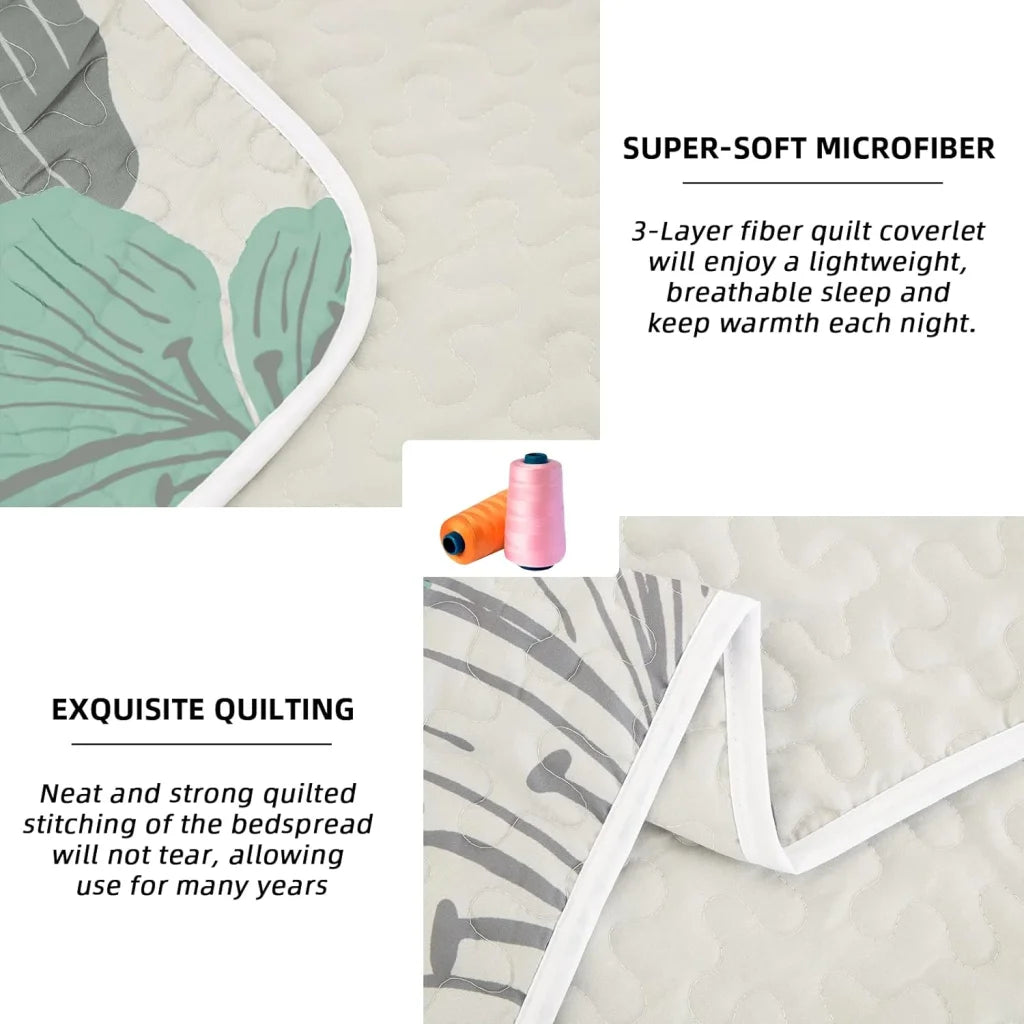 Radiant Quilted Coverlet & Pillowcases Set - Envelop