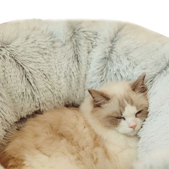 Rainbow Luxury Plush Cat Bed with Hidden Tunnel - Soft