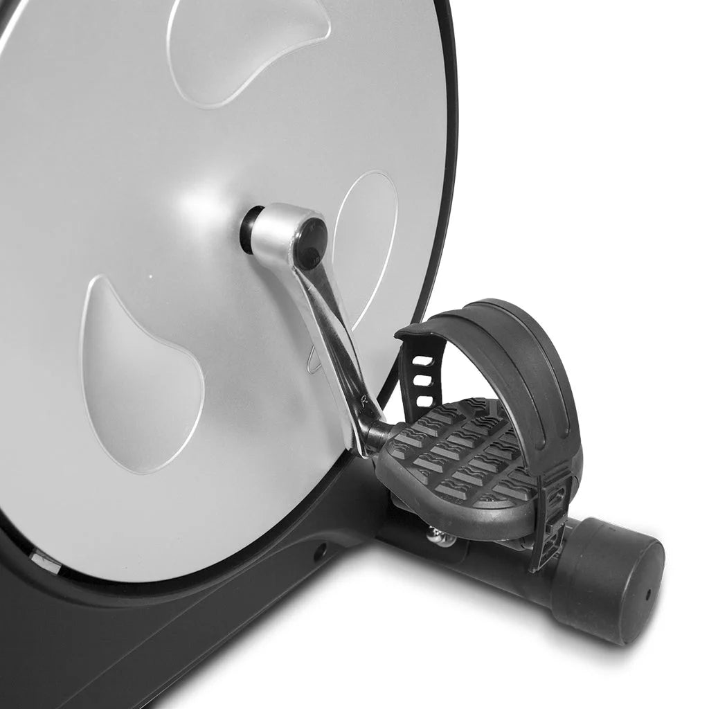 Recumbent Bike LSG RB-2 - Sports & Fitness